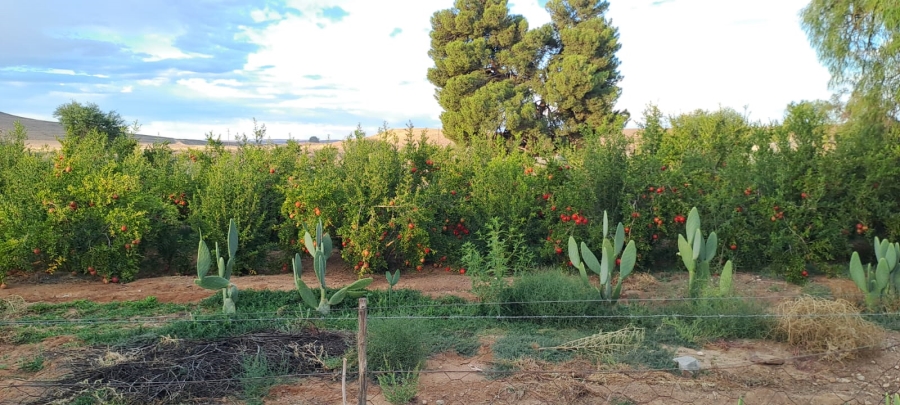 0 Bedroom Property for Sale in Calvinia Rural Northern Cape